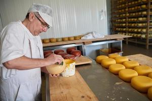 fabricante de queso en la fábrica de producción local foto