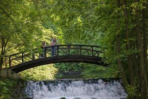 wooden bring over small waterfall photo