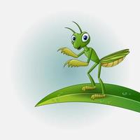 Cartoon praying mantis on leaf vector