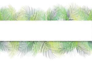 fondo de hojas de palma tropical con banner horizontal sobre fondo blanco vector