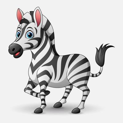 Cute cartoon zebra on white background