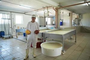 Cheese production cheesemaker  working in factory photo