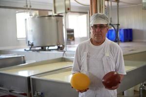 Cheese production cheesemaker  working in factory photo