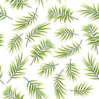 Seamless pattern with palm leaves background vector