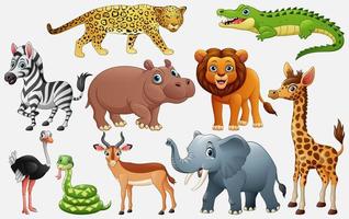 Cartoon wild animals on white background vector
