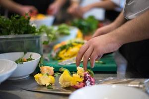 team cooks and chefs preparing meals photo