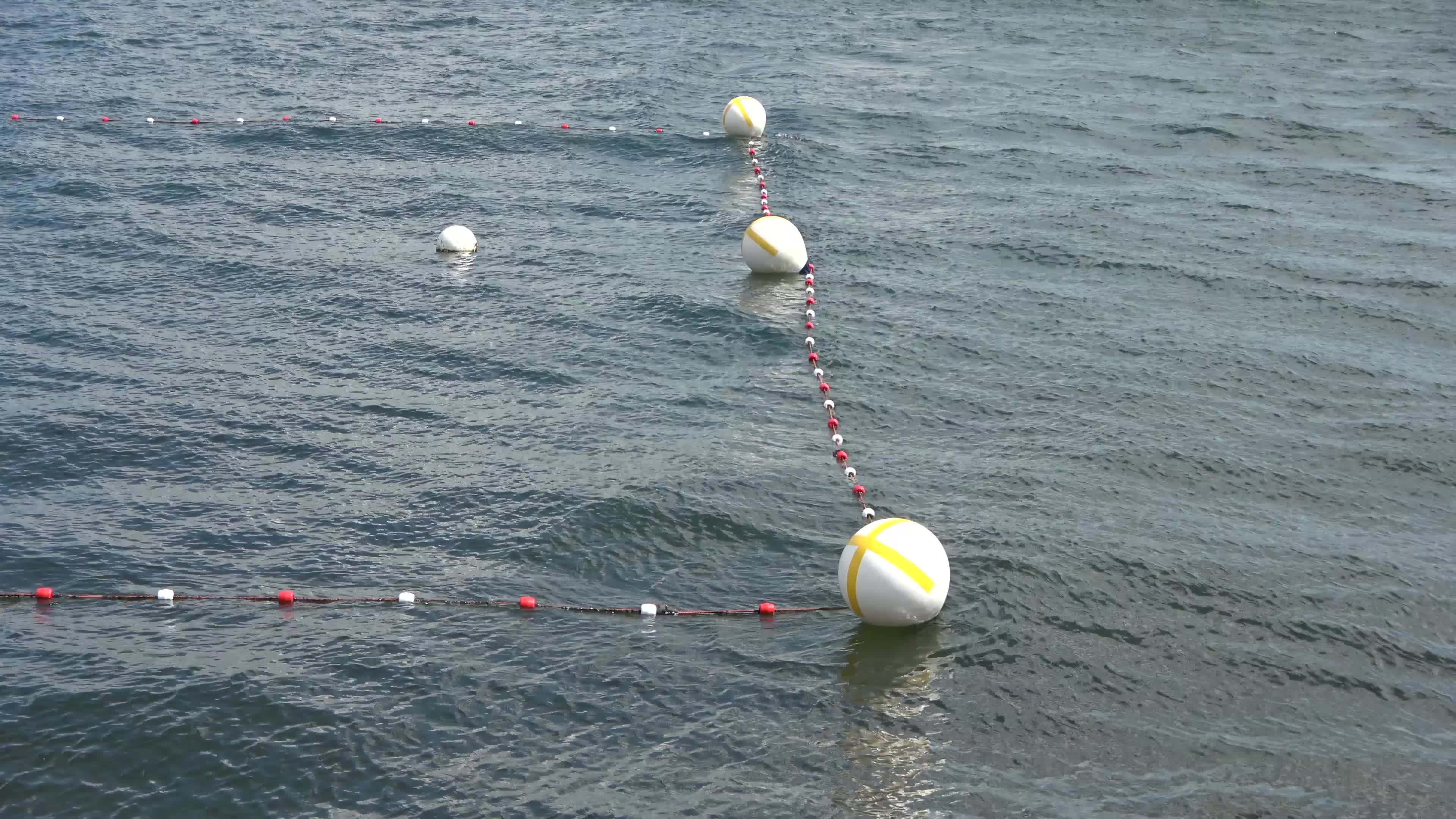 Multiple white marking buoys at the water surface of the baltic sea