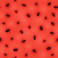 Seamless pattern of red watermelon with black seeds vector