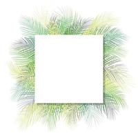 Tropical green palm leaves with white frame place for text isolated on white background