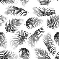 Seamless pattern with palm leaves on white background vector
