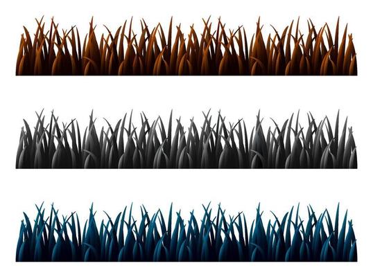 Set of three grass isolated on white background