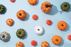 pattern of colorful artificial pumpkins on blue background photo