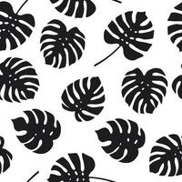 Seamless pattern of monstera leaves on white background vector