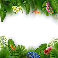 verano verde con hojas y flores tropicales vector
