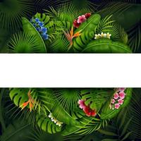 Green summer with tropical leaves and flowers