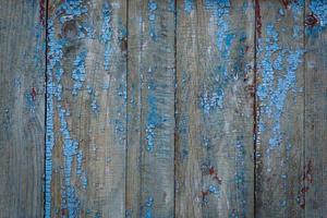 Surface of old wood Paint over with white and blue photo