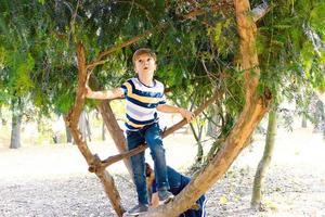 Small boy climbing on a tree at the park. photo