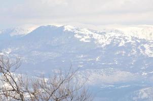 vista del paisaje de invierno foto