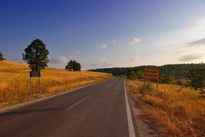 road through the green field photo