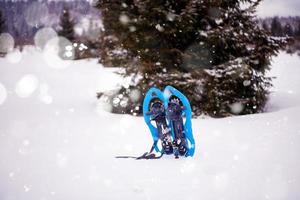 Blue snowshoes in fresh show photo