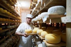 Cheese maker  at the storage with shelves full of cow and goat cheese photo