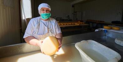 Workers preparing raw milk for cheese production photo