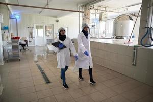 business woman team in local  cheese production company photo