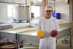 Cheese production cheesemaker  working in factory photo