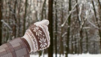 close-up de mãos femininas em uma floresta de neve em um dia gelado. mãos de um homem gelado esfregando as mãos nas luvas. mulher congelada em roupas de inverno, esfregando as mãos para se aquecer da baixa temperatura.
