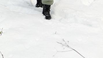 una mujer irreconocible camina por el bosque nevado de invierno. una chica despreocupada en el parque camina por el bosque de pinos, explora el bosque en invierno con nieve y sol. viajes turísticos en un día frío. video