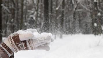 un' bellissimo giovane irriconoscibile donna colpi neve a partire dal sua palme. il ragazza sta tra il inverno foresta e giochi con neve su un' soleggiato giorno. donna di mani nel guanti. lento movimento. video