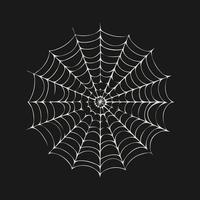 Spider web. Vector illustration. Isolated background. Element for design, Halloween.