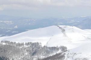 vista del paisaje de invierno foto