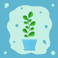 Green flower in a pot vector