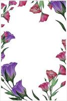 frame of lisianthus flowers, eustoma, floral wallpaper for wedding venetting vector illustration.ai