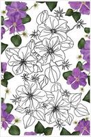 liana caída de flores climatis libro para colorear con flores para la relajación, flor decorativa en estilo garabato vector