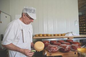 fabricante de queso en la fábrica de producción local foto