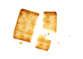 whole wheat cracker and broken crushed on transparent background , top view png file