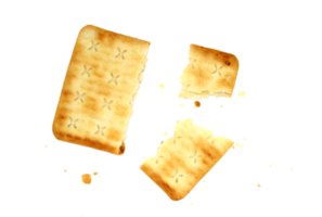 whole wheat cracker and broken crushed on transparent background , top view png file