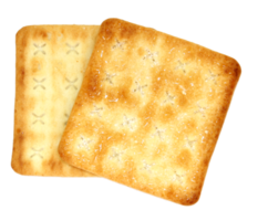 Crackers isolated on transparent background png file