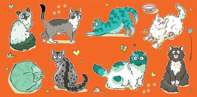 Vector Breed cats in different poses