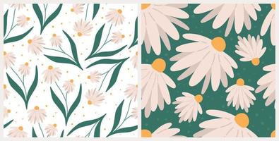 Chamomile flower seamless patterns set, flat vector illustration. Floral background for wrapping paper, textile print or greeting card. Spring and summer concept.