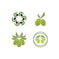 Olive logo images illustration vector