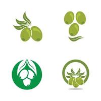 Olive logo images illustration vector