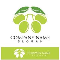 Olive logo images illustration vector