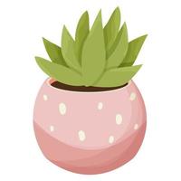 Succulent, home plant in pink pot with dots in cartoon style isolated on white background. vector