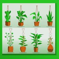 Flowers in pots, houseplants in modern scandinavian style, interior decoration, hanging plant set. illustration vector