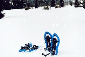 Blue snowshoes in fresh show photo