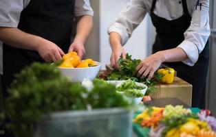 team cooks and chefs preparing meals photo