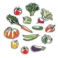 set of vegetables visual nutrition vector